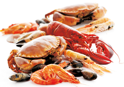 Seafood Baldwin County AL - Gulf Shores Seafood