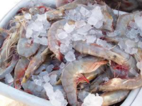 Gulf Shores Seafood Market Alabama